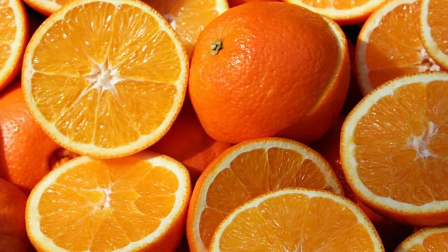 A Deep Dive into the Nagpur Orange Industry in India